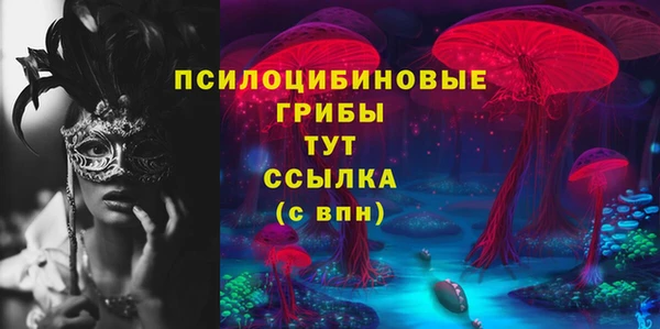 прущий лед Михайлов