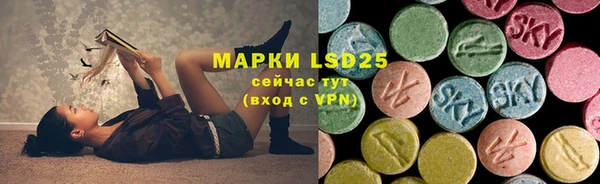 мяу мяу мука Михайловск
