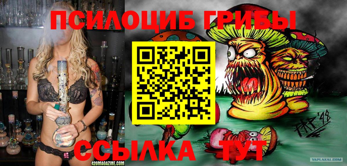 Галлюциногенные грибы Psilocybine cubensis  Вход с VPN  Мичуринск 