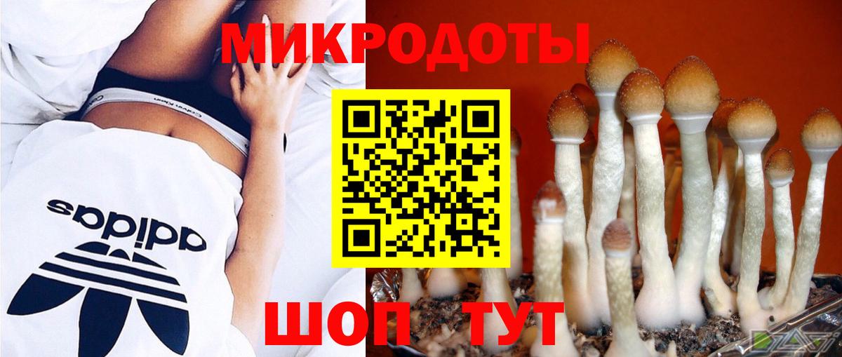 Псилоцибиновые грибы ЛСД Мичуринск